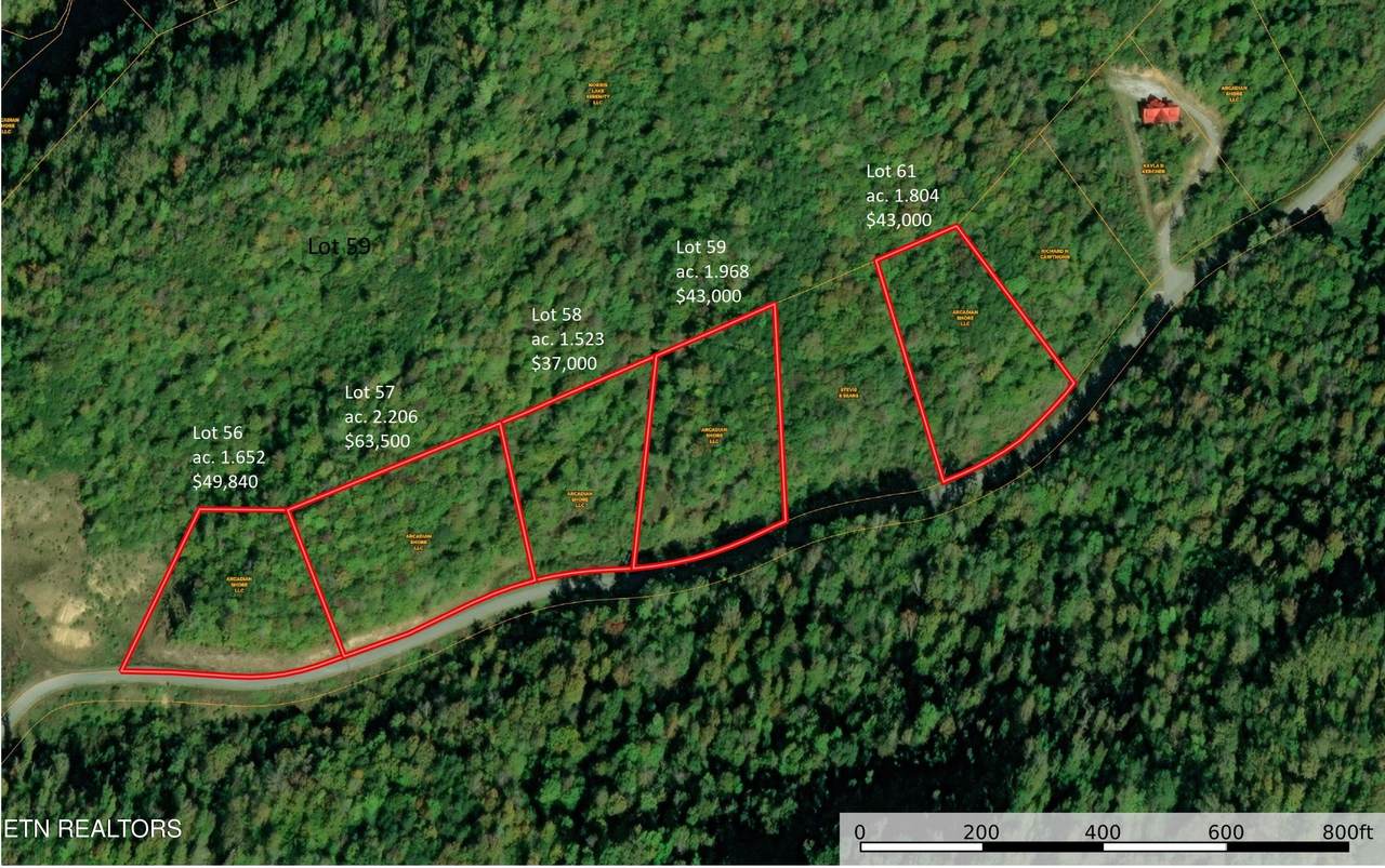 Lot 59 Owen Payne Rd - Photo 1