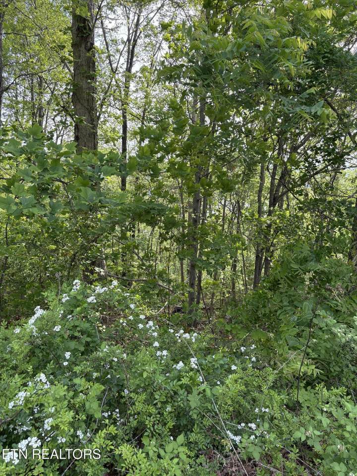 lot 168 Saddleridge Drive - Photo 1