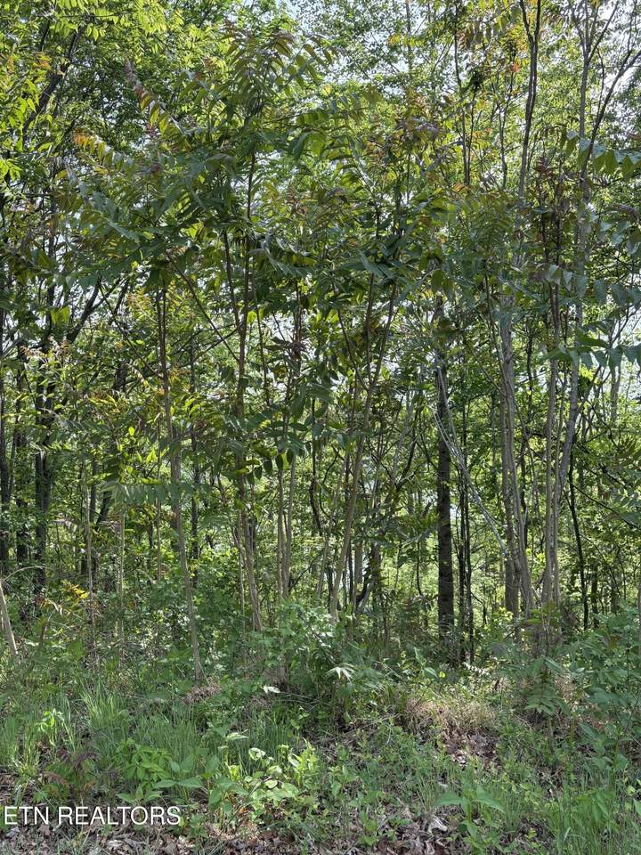 https://bt-photos.global.ssl.fastly.net/kaar/1280_boomver_2_1338086-2.jpg
