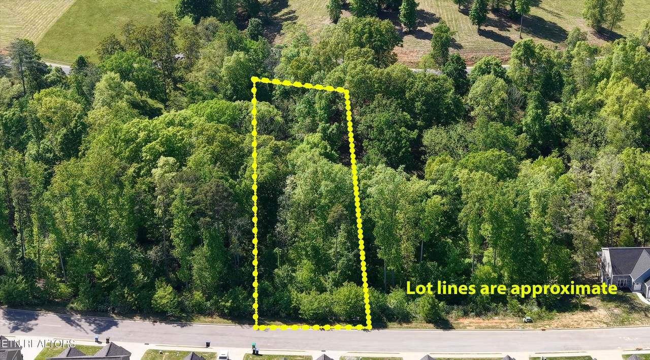 Lot 28 Bridgewater Blvd - Photo 1