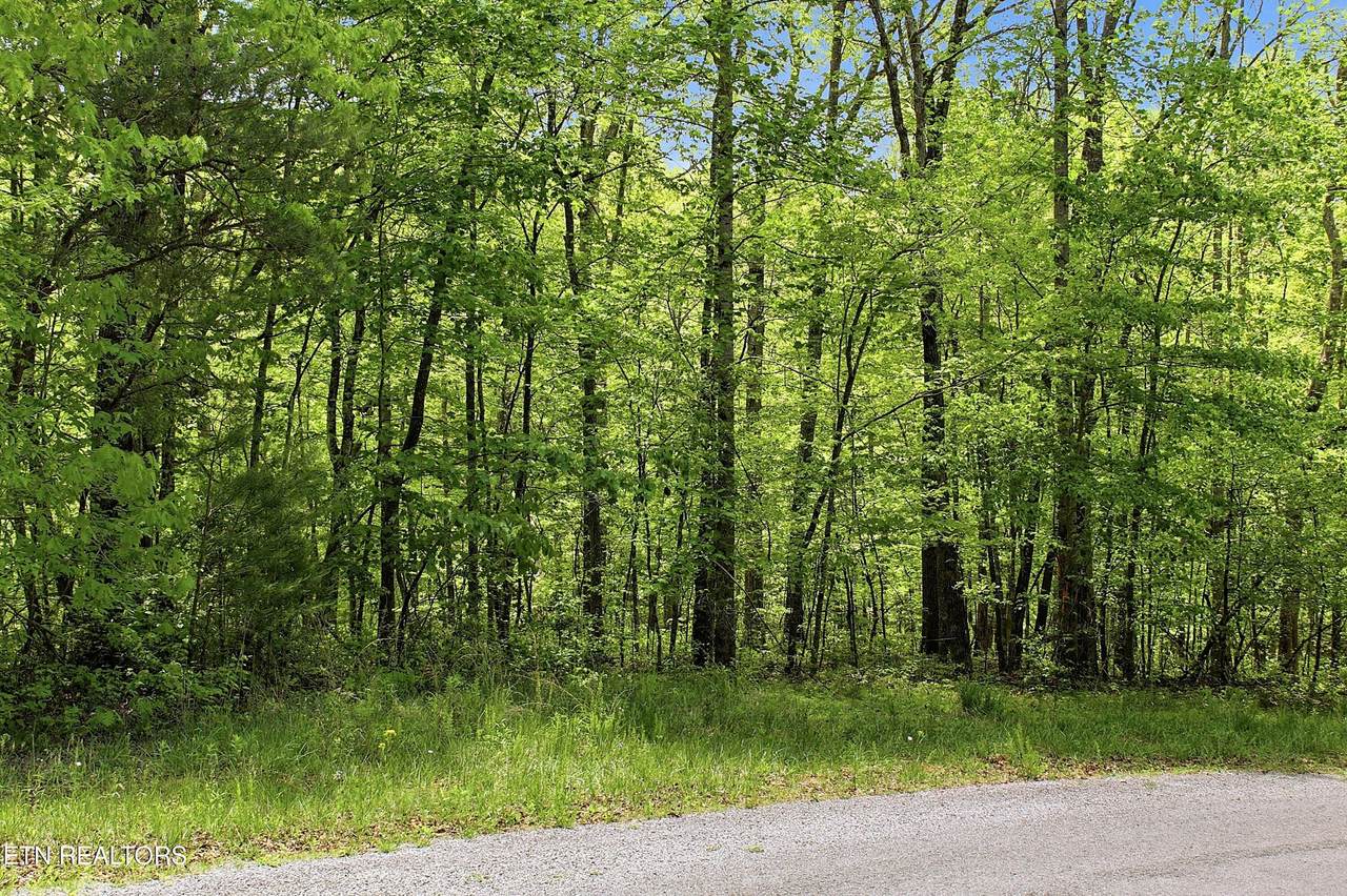 https://bt-photos.global.ssl.fastly.net/kaar/1280_boomver_2_1338412-2.jpg