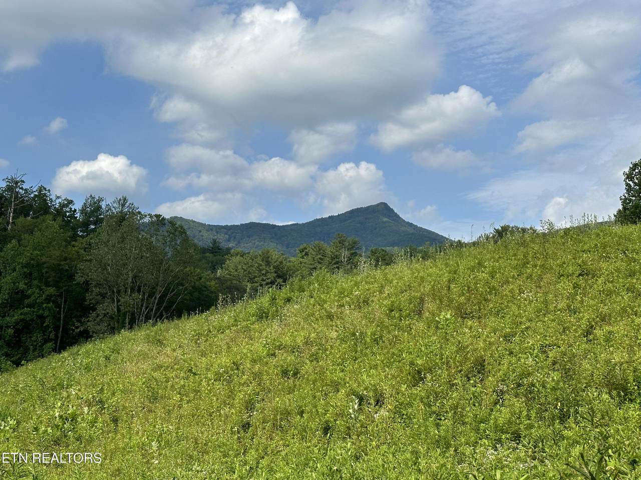 0 Barnes Hollow Rd - Photo 1