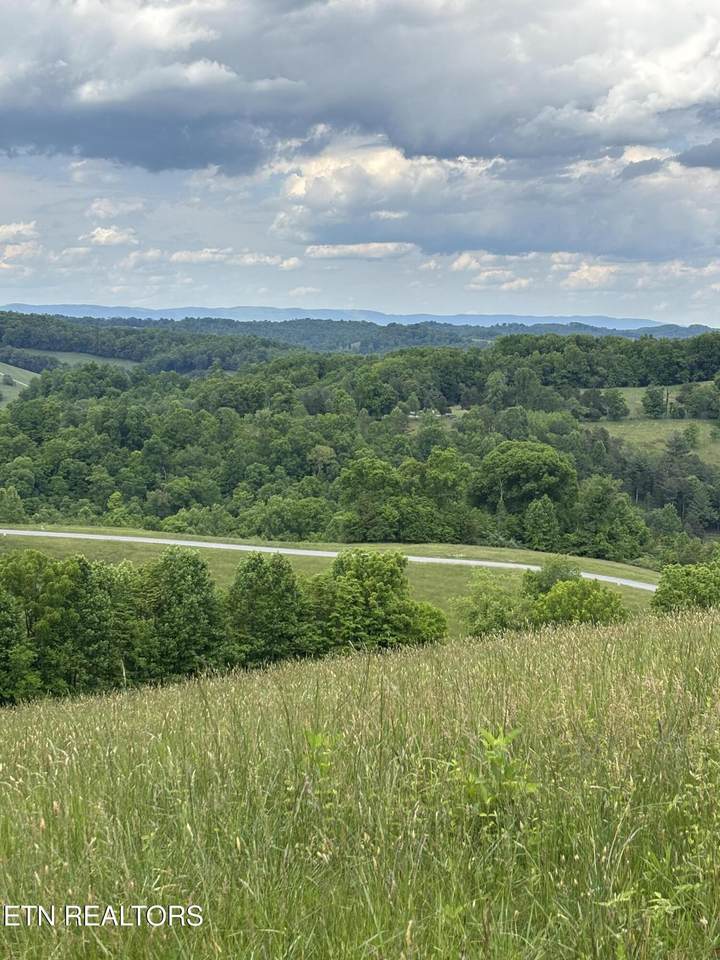  Lot 94 Flagstone Loop - Photo 1