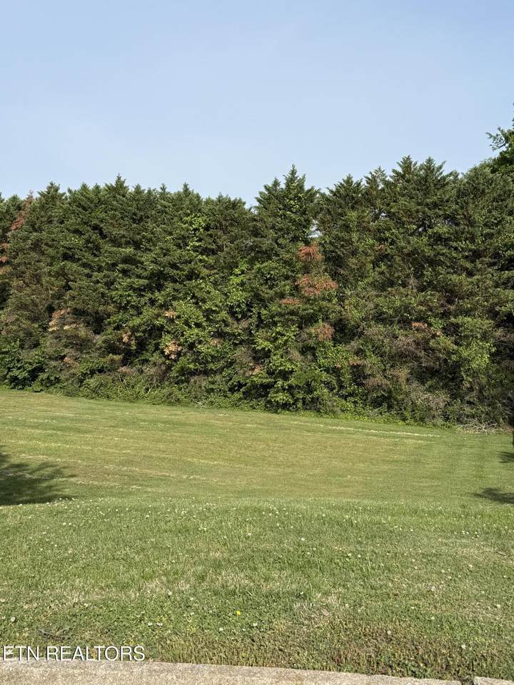 https://bt-photos.global.ssl.fastly.net/kaar/1280_boomver_2_1339418-2.jpg