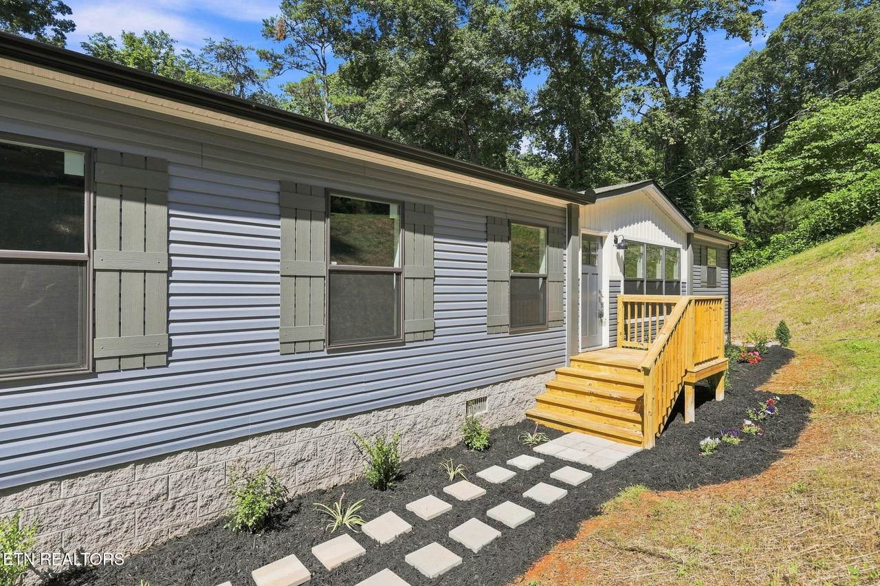 260 Island Ford Rd - Photo 1