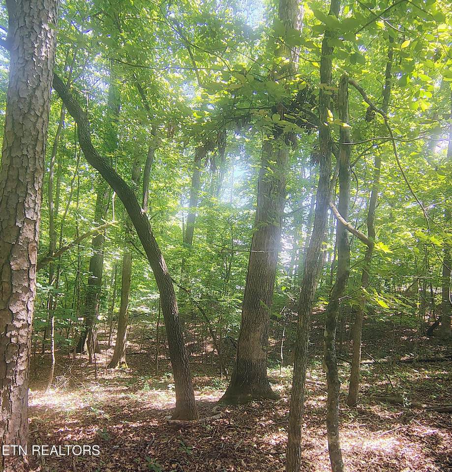 138 Stooksbury Lane - Photo 1