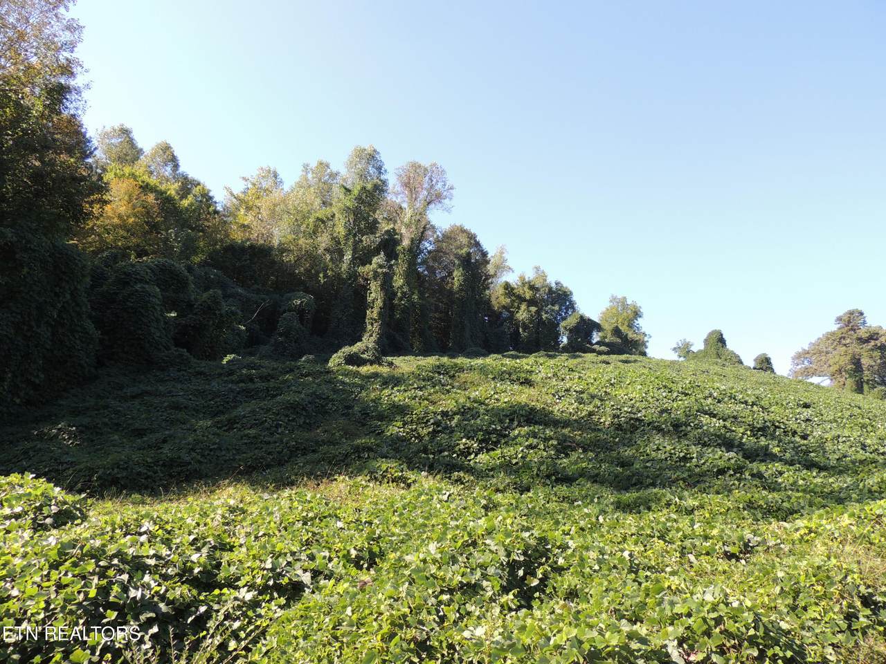 https://bt-photos.global.ssl.fastly.net/kaar/1280_boomver_2_1342549-2.jpg