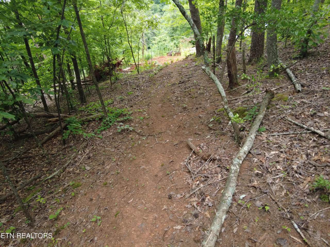 1124 Galyon Rd - Photo 1
