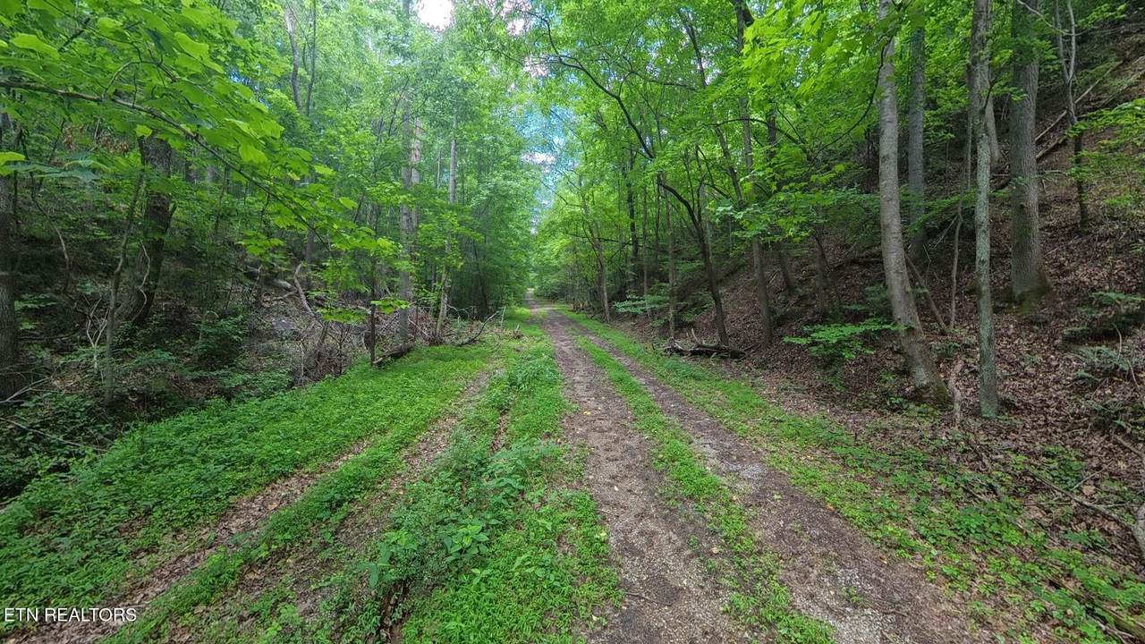 195 Sherwood Lane - Photo 1