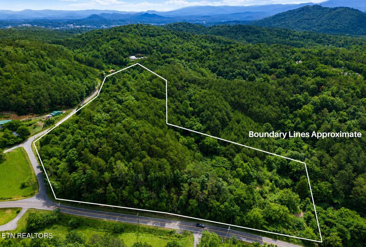 2131 Goose Gap Rd - Photo 1