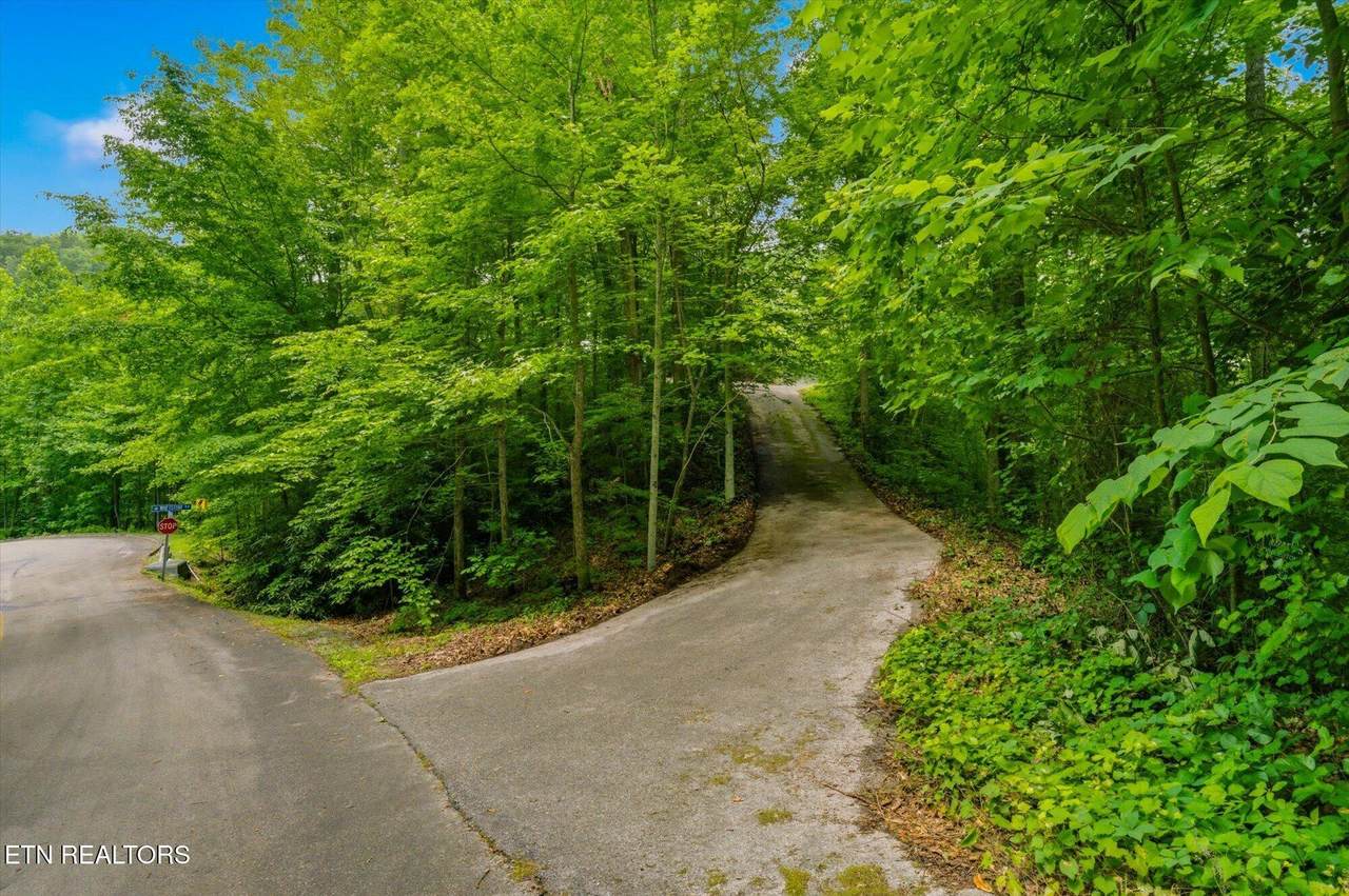 2405 Deep Spring Lane - Photo 1
