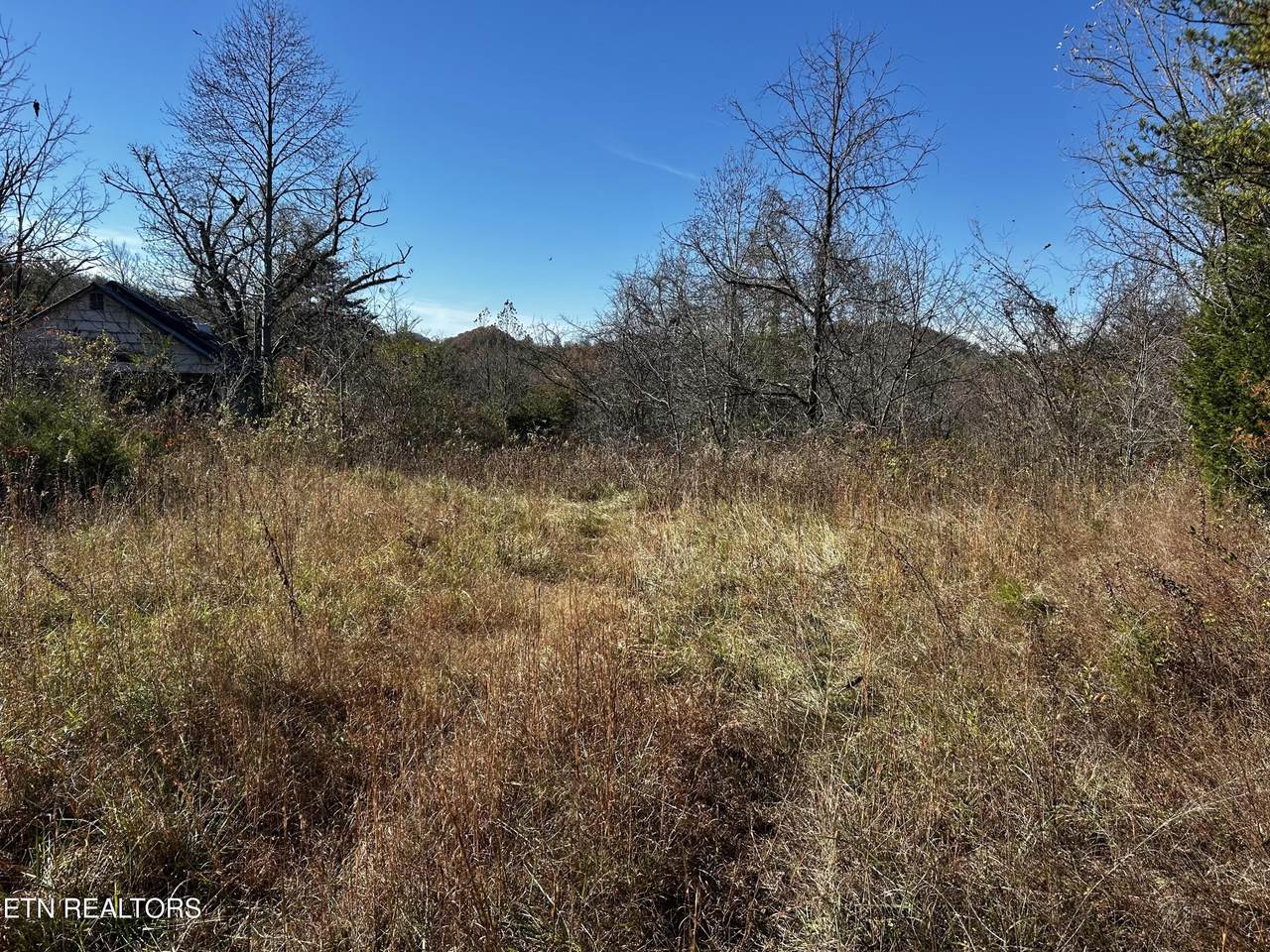  Shaddon Road Lot 1 - Photo 1