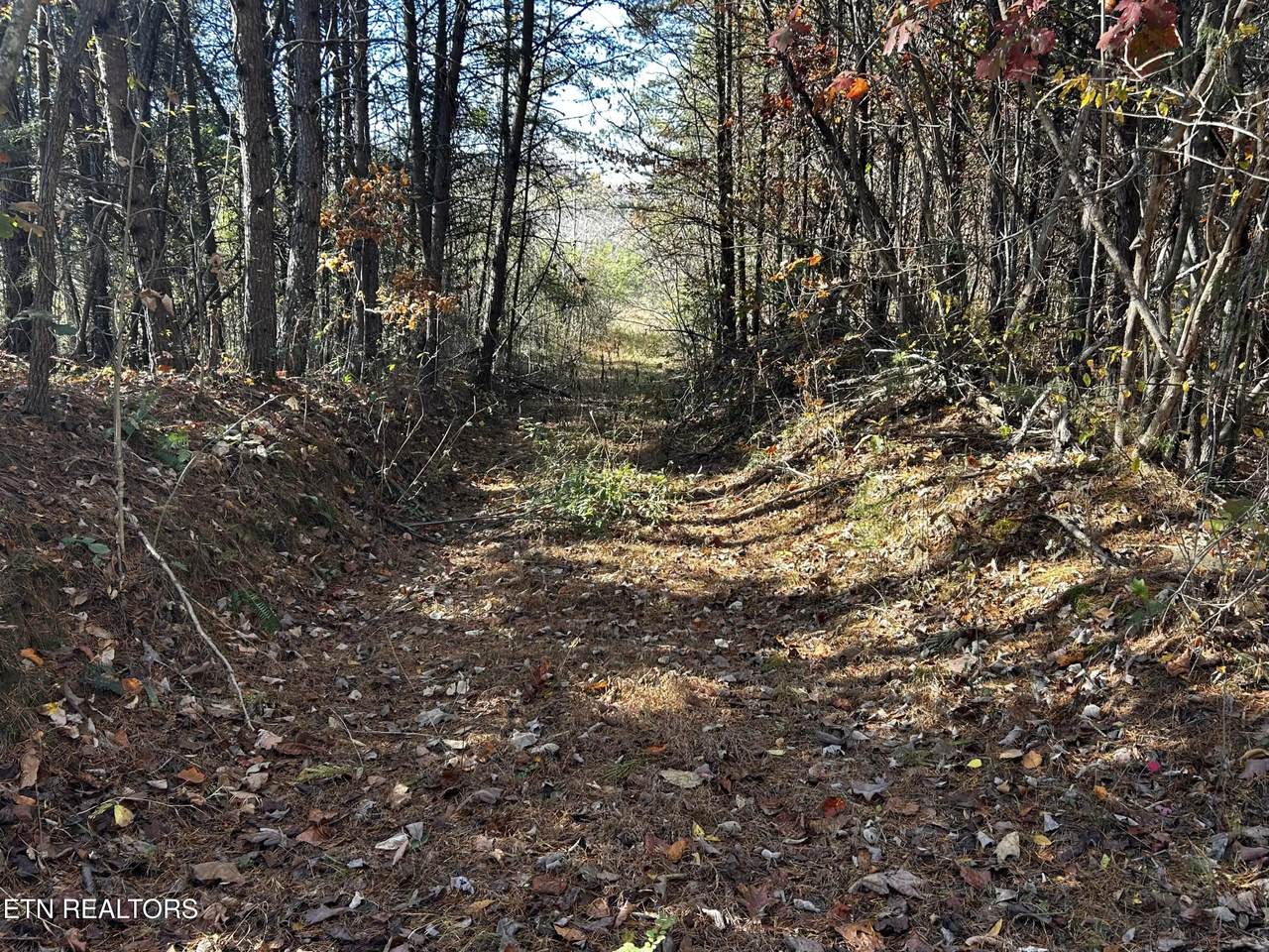  Shaddon Road Lot 2 - Photo 1