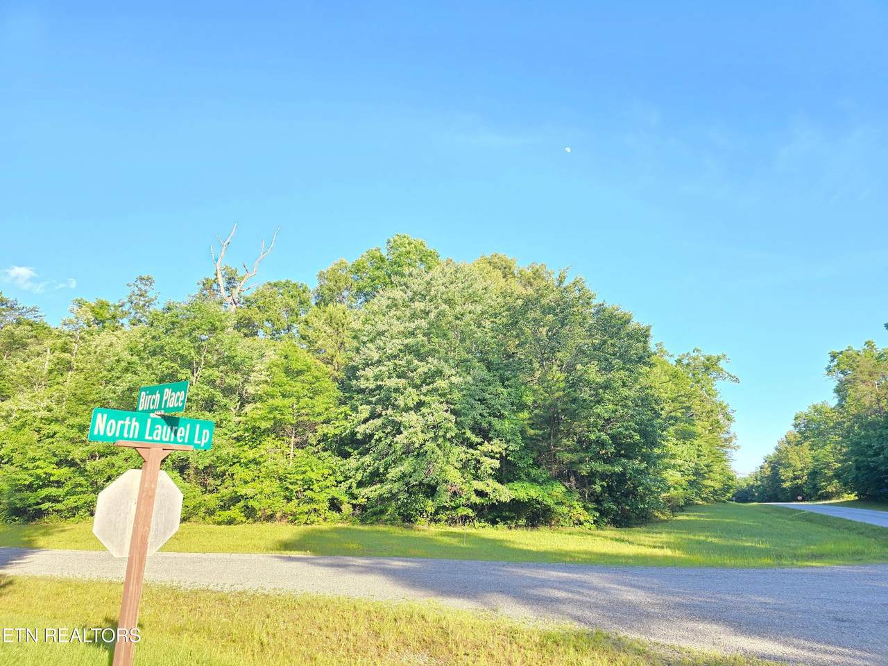 0 Laurel Loop - Photo 1