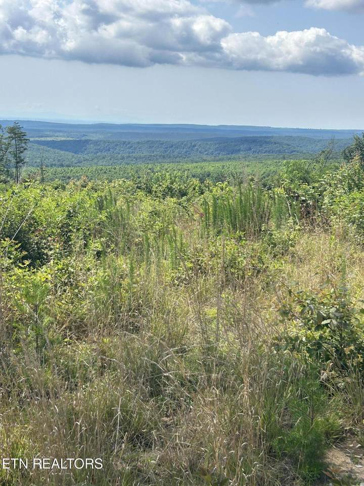 506 Sweeny Branch Rd - Photo 1