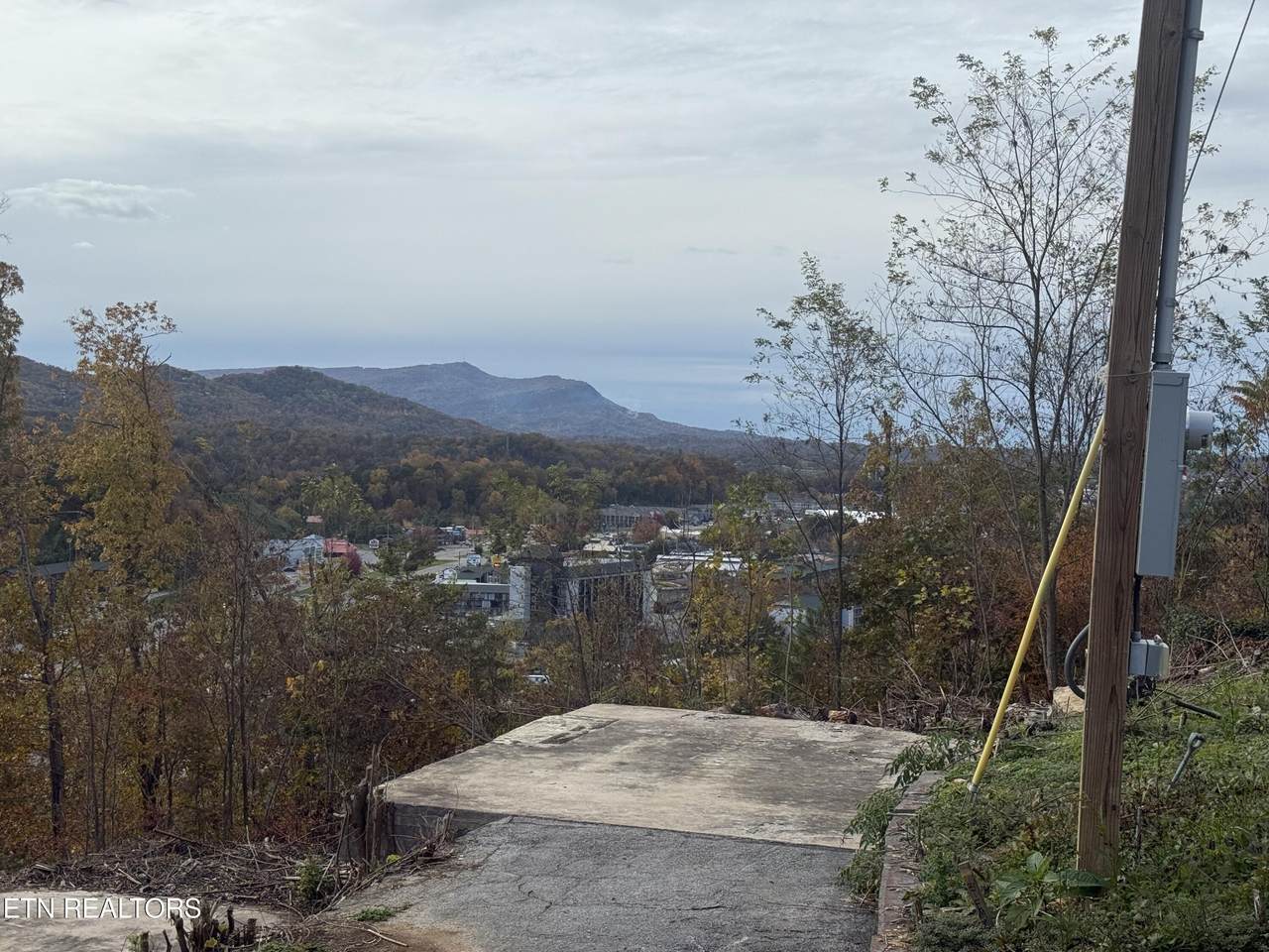 201 Cherry Laurel Drive - Photo 1