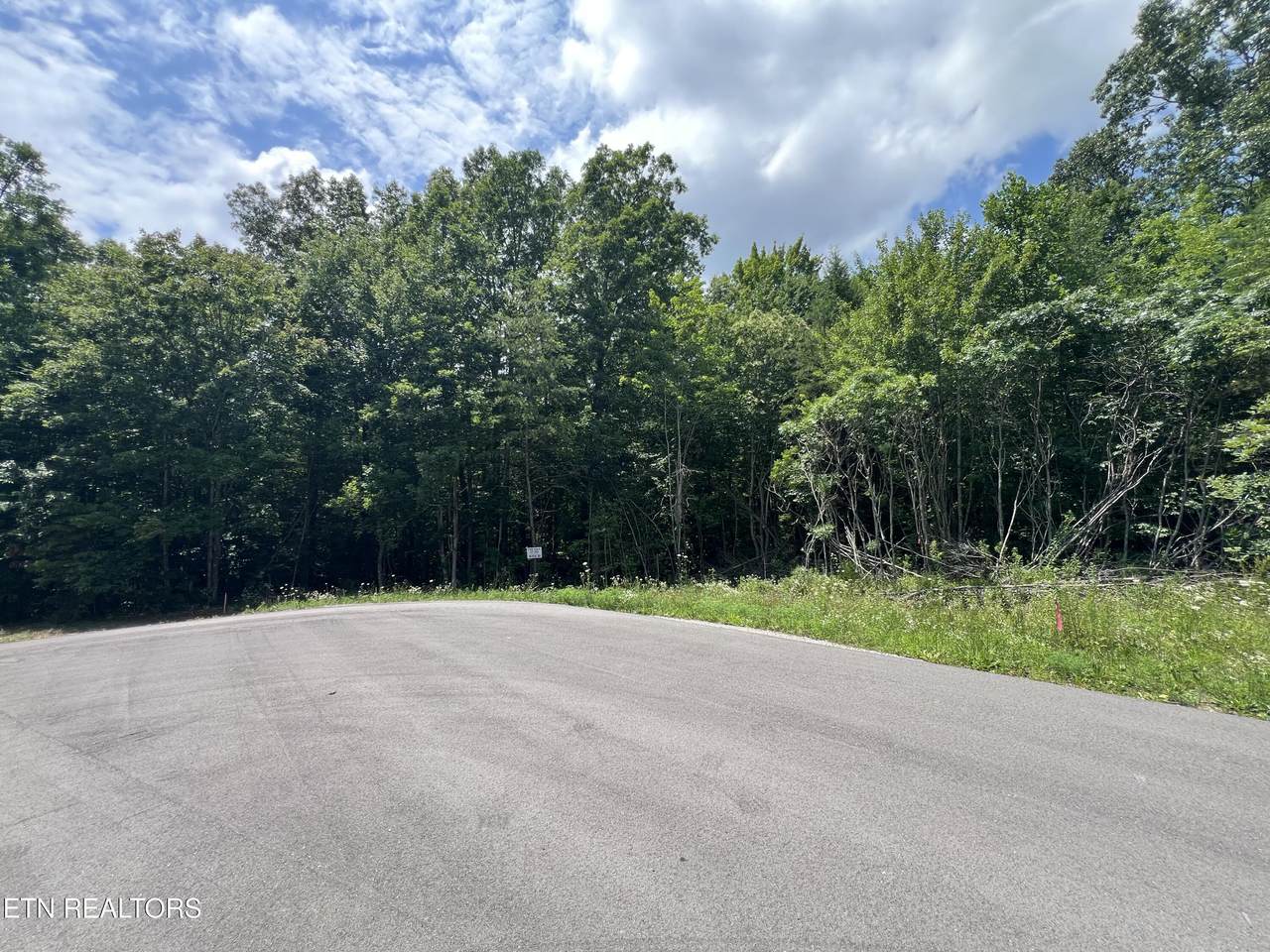 Lot 200 Elzies Way - Photo 1