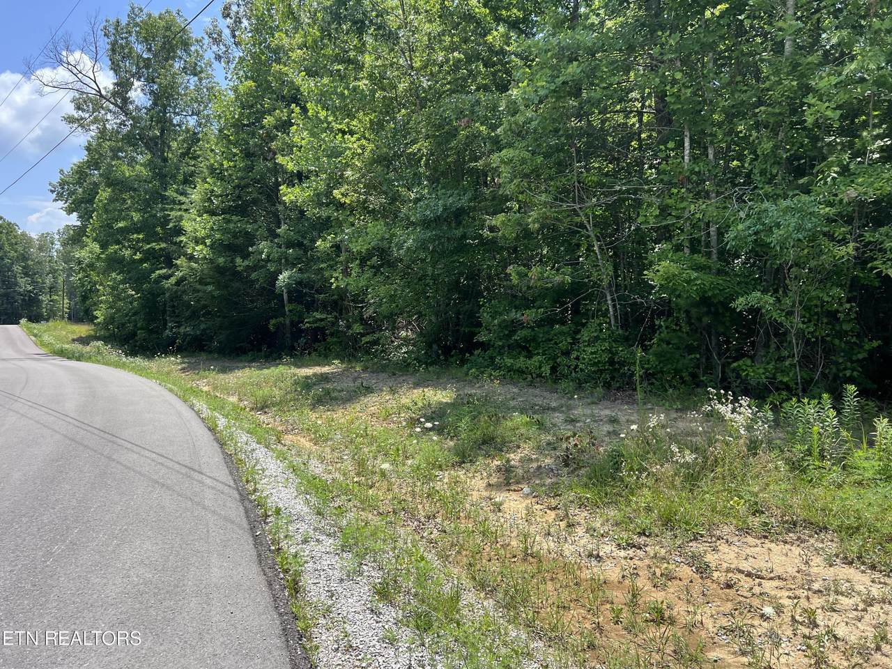 Lot 202 Elzies Way - Photo 1