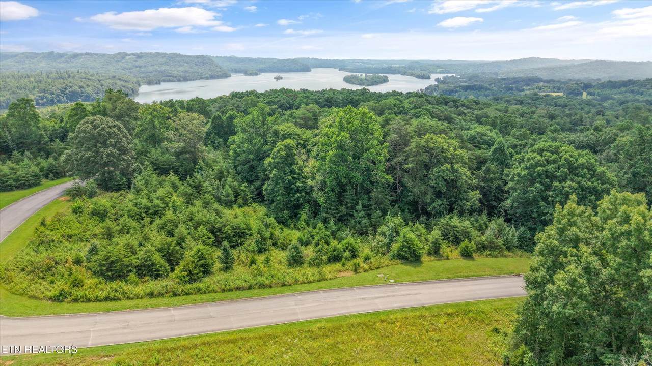 0 Evergreen Cove Lot 4 St - Photo 1