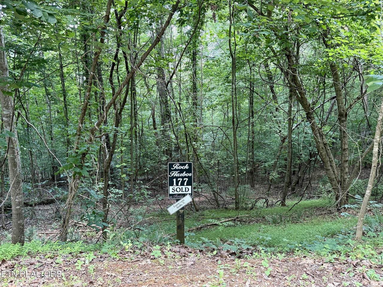  Lot 177 Moonstone Lane - Photo 1