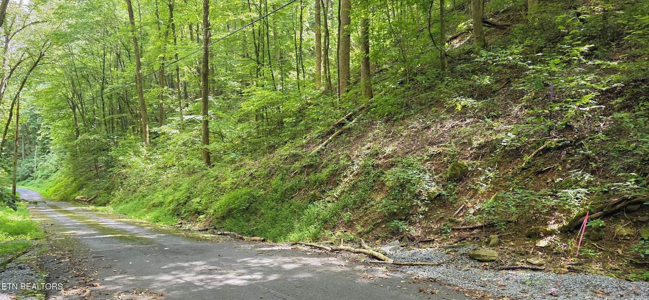 Lot 0025 Black Walnut Flats Rd - Photo 1