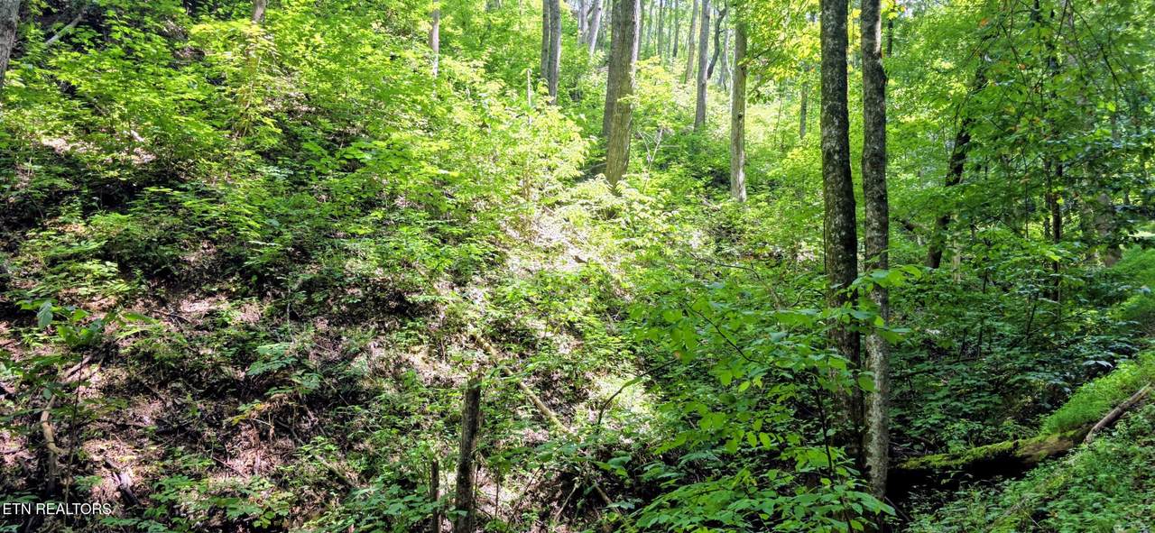 https://bt-photos.global.ssl.fastly.net/kaar/1280_boomver_2_1347286-2.jpg