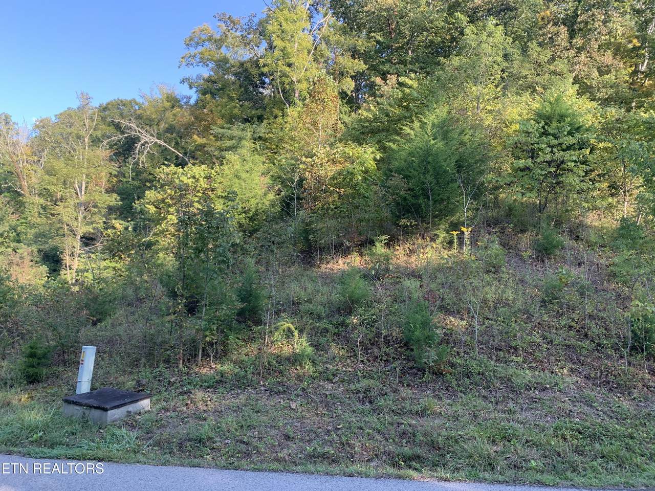 0 Russell Brothers Rd - Photo 1