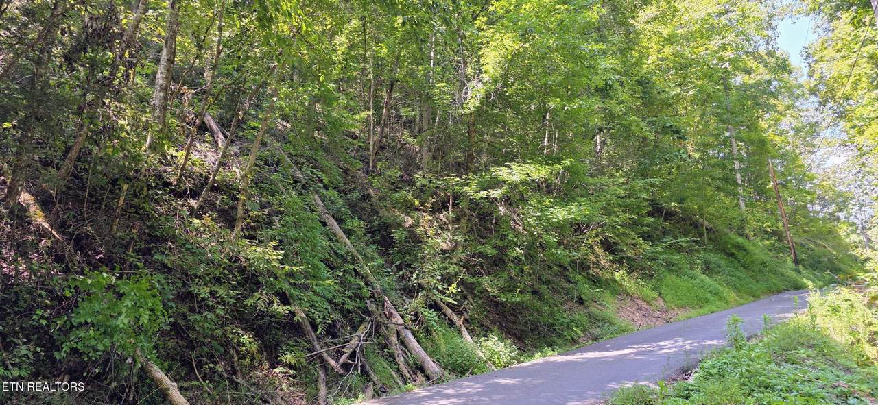https://bt-photos.global.ssl.fastly.net/kaar/1280_boomver_2_1347425-2.jpg