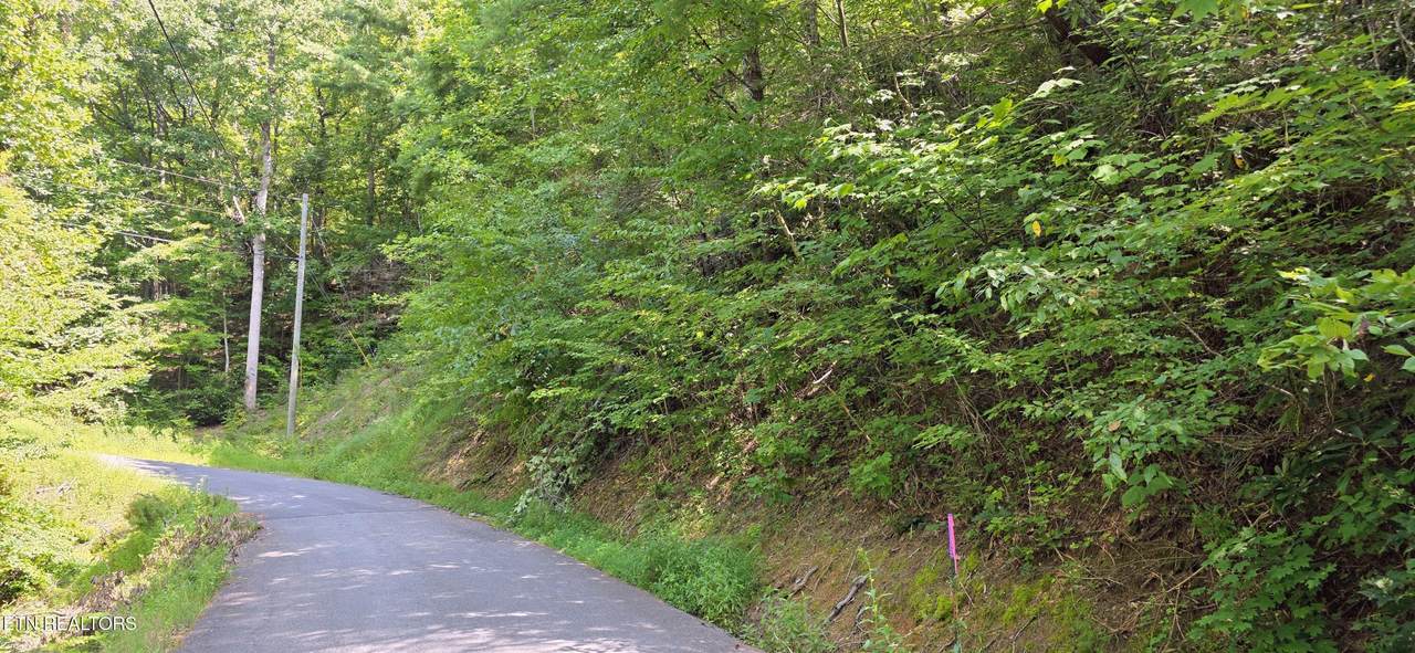 Lot 0024 Sugar Maple Loop Rd - Photo 1