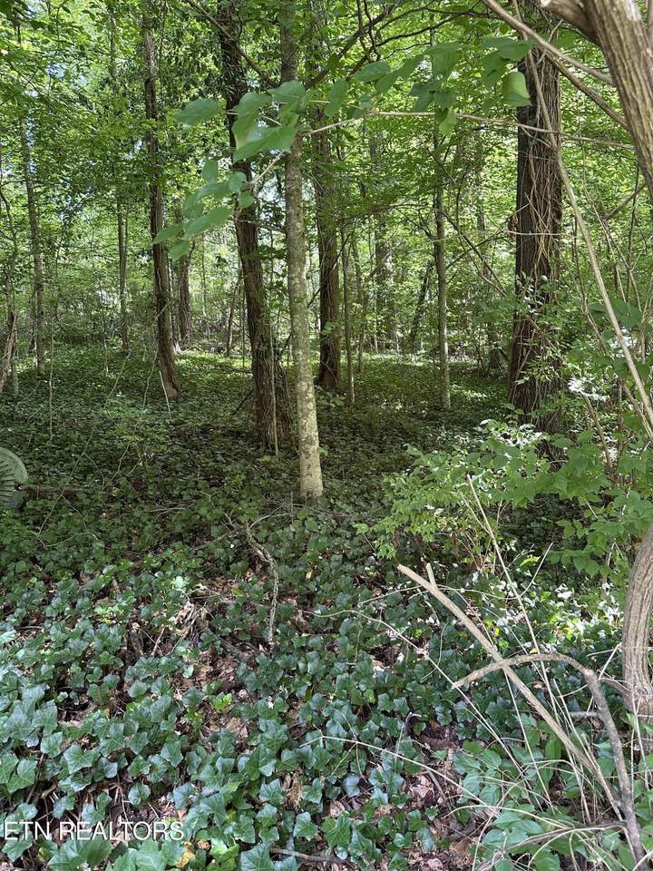2506 Shaler Lane - Photo 1