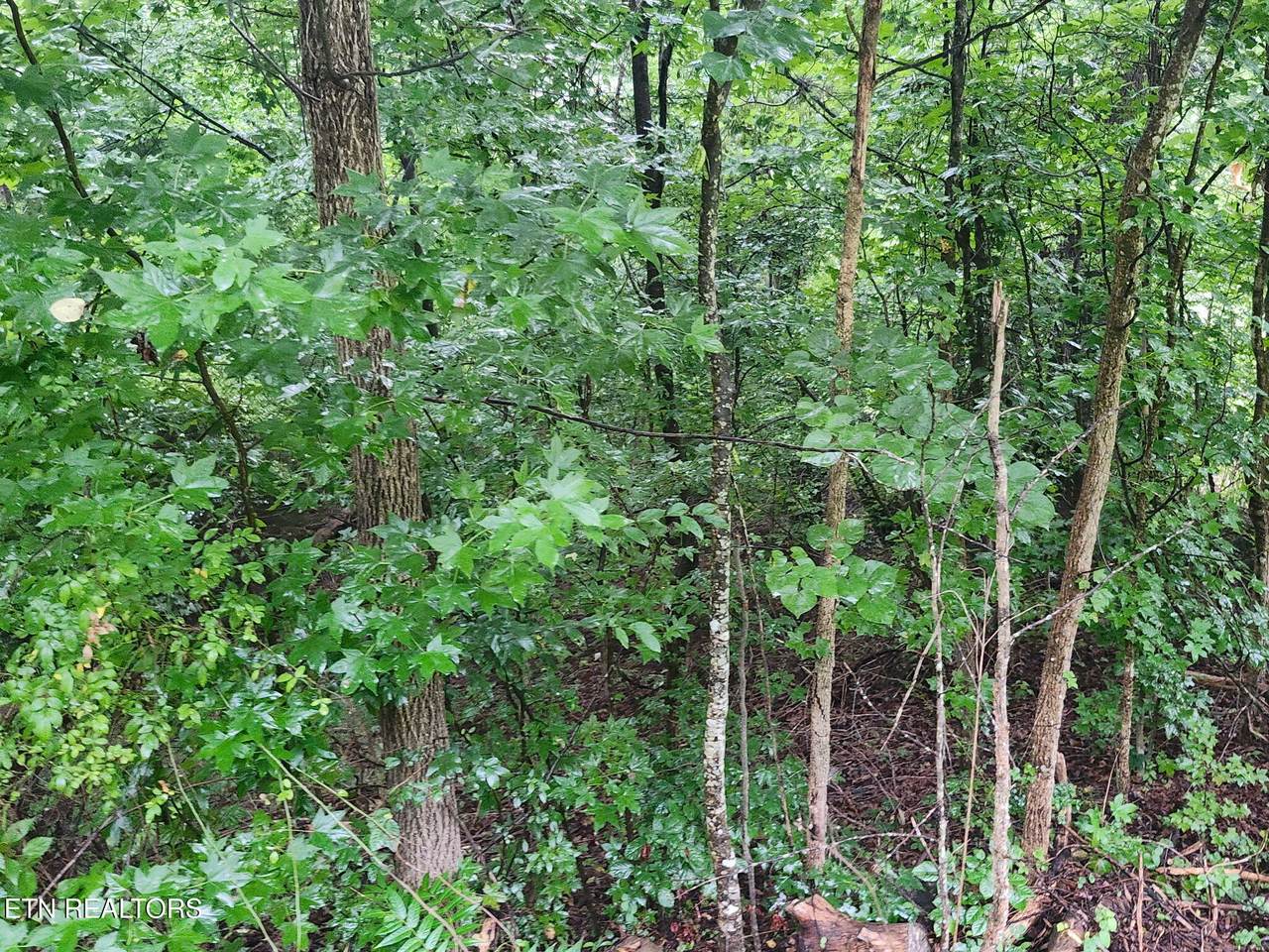 https://bt-photos.global.ssl.fastly.net/kaar/1280_boomver_2_1351024-2.jpg