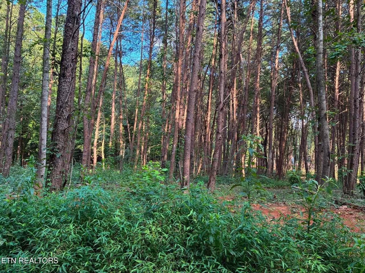 100 County Road 262 - Photo 1