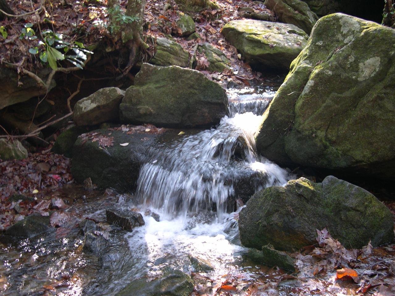 Brook Trout Way - Photo 1 Brook Trout Way - Photo 1