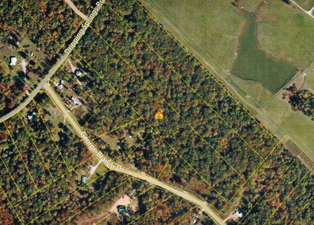 Dripping Springs Rd - Photo 1