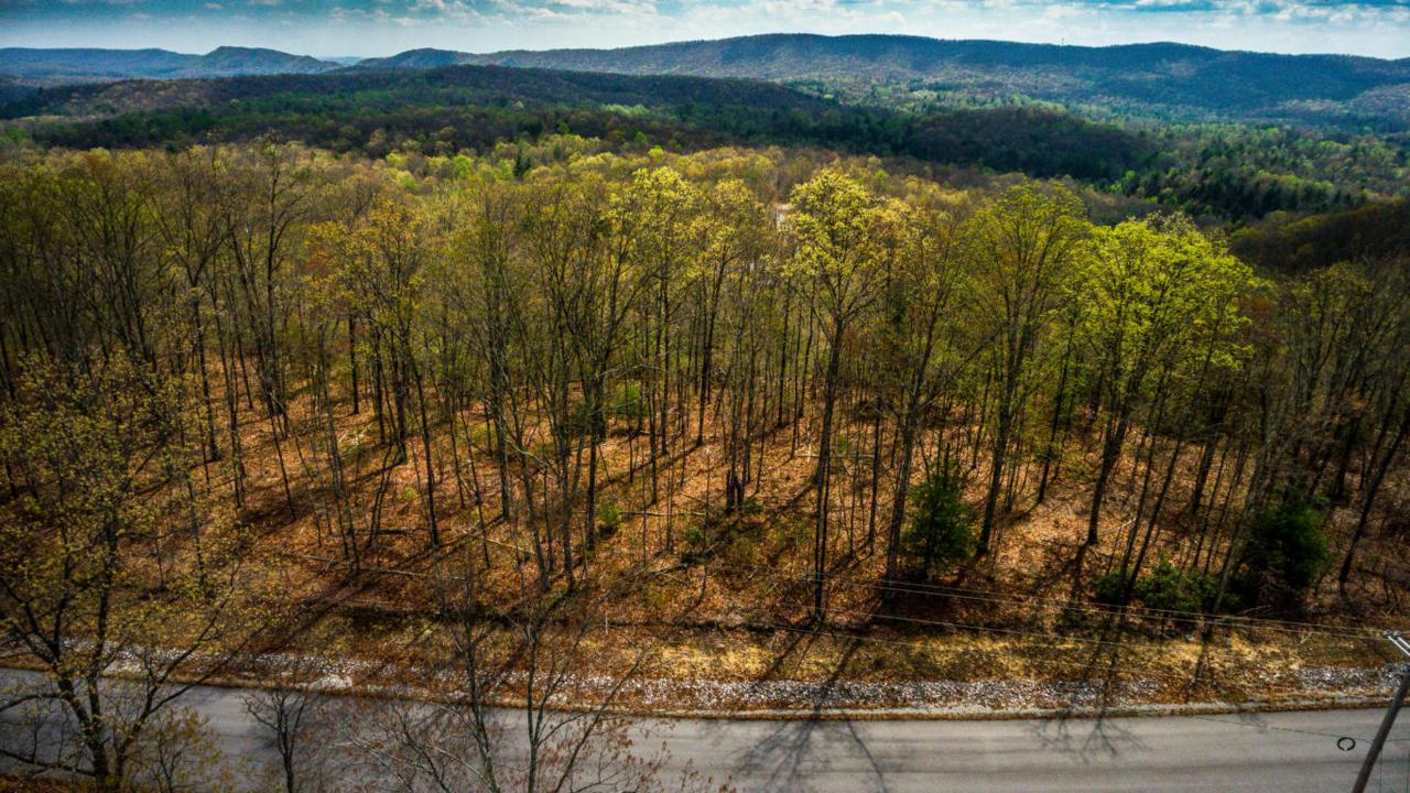 Green Ridge Trail - Lot #40 - Photo 1