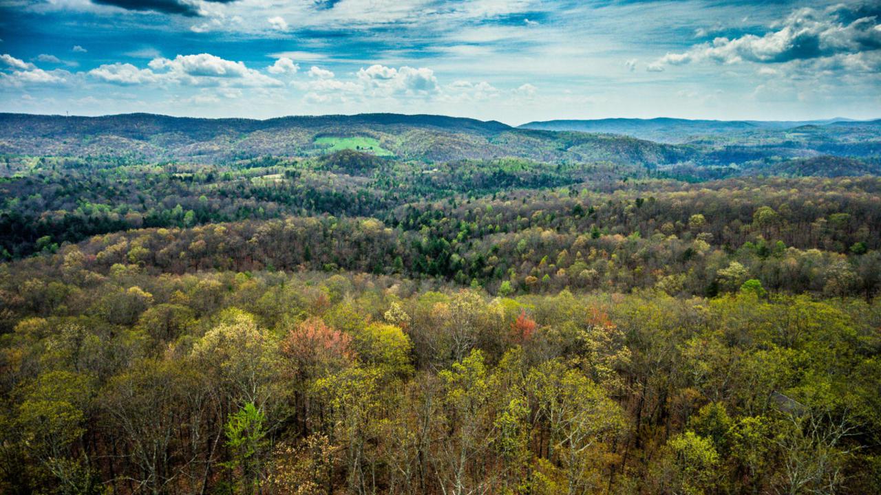 Green Ridge Trail - Lot #44 - Photo 1