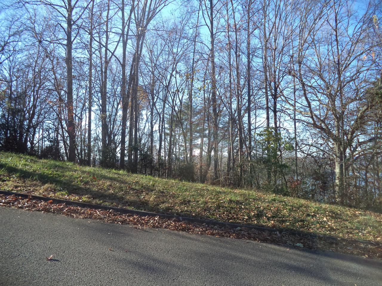 Lakeview Drive - Photo 1