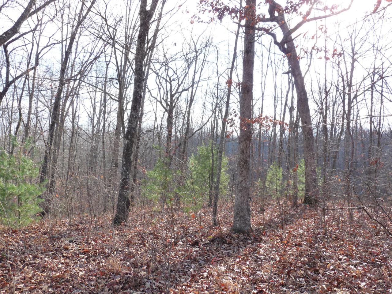 Kingsbridge Lane - Photo 1