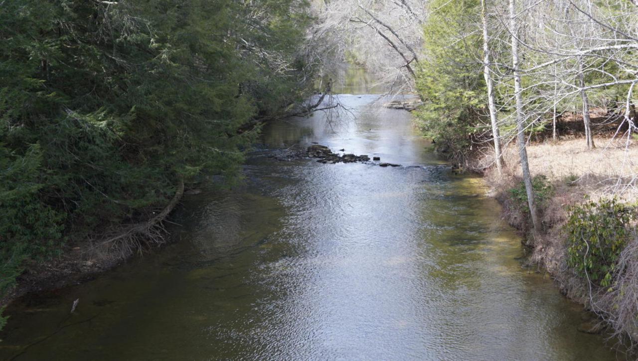 3.5 Acres River Rd - Photo 1