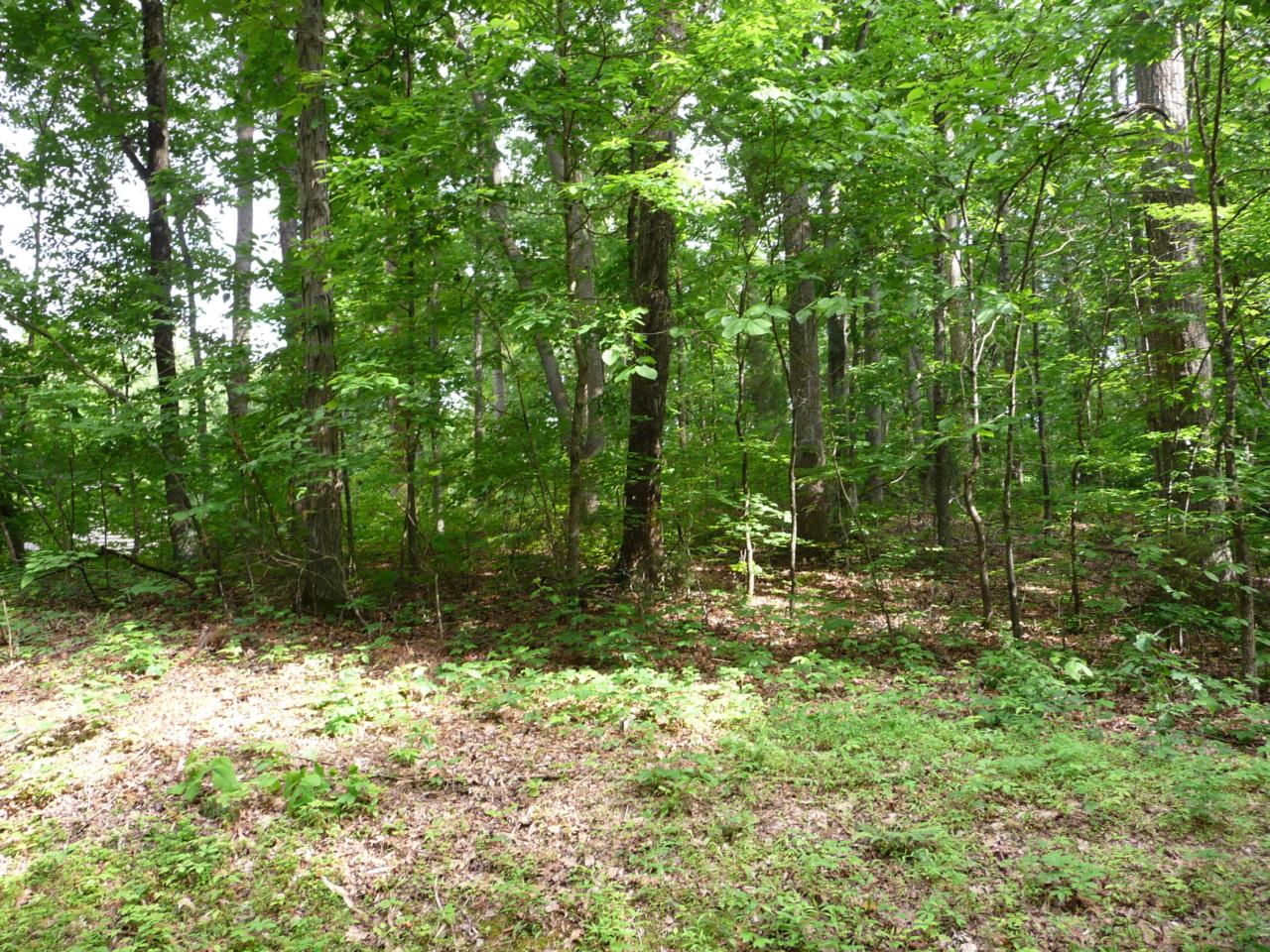219 Lot 4 Block 2 Oostanali Way - Photo 1