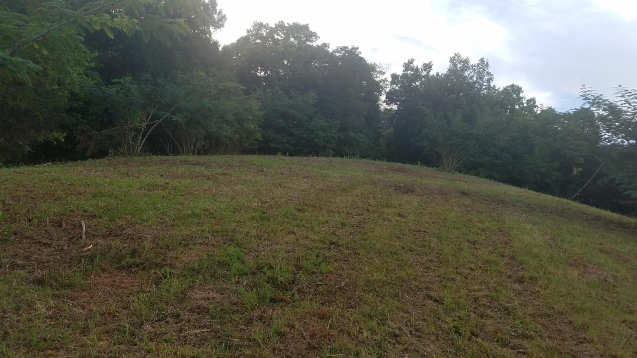 Hammer Rd - Photo 1