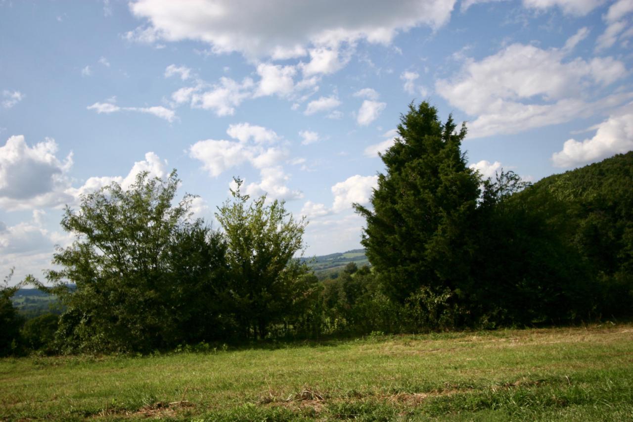 Lot # 28 High Ridge Rd - Photo 1