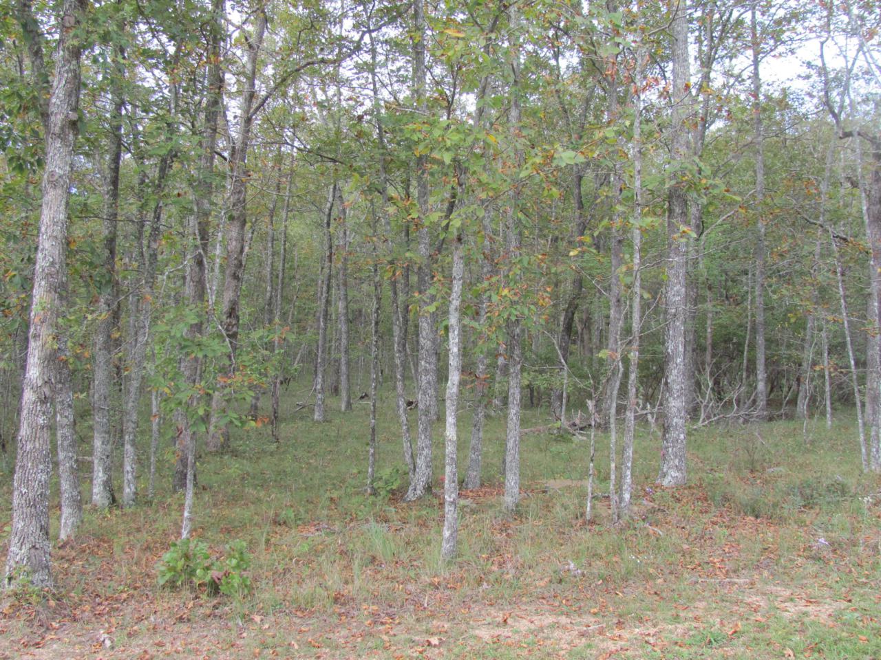 228 Westchester Drive - Photo 1
