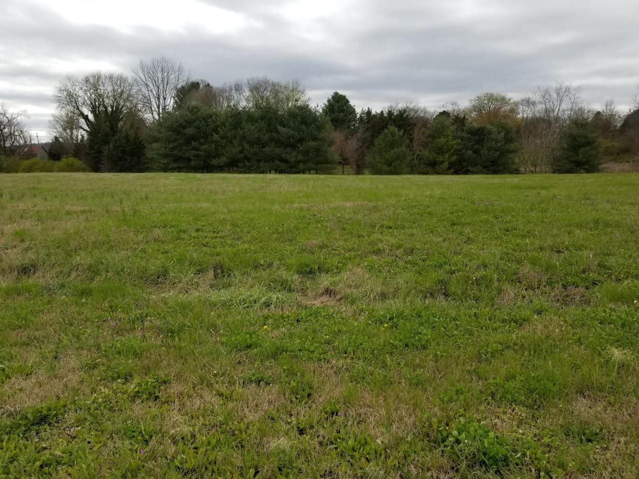 Lot 6 Stone Leigh Drive - Photo 1