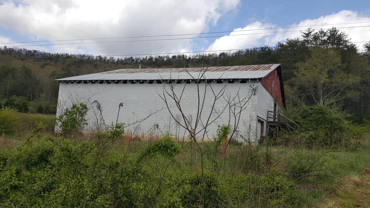 Reagan Valley Rd - Photo 1