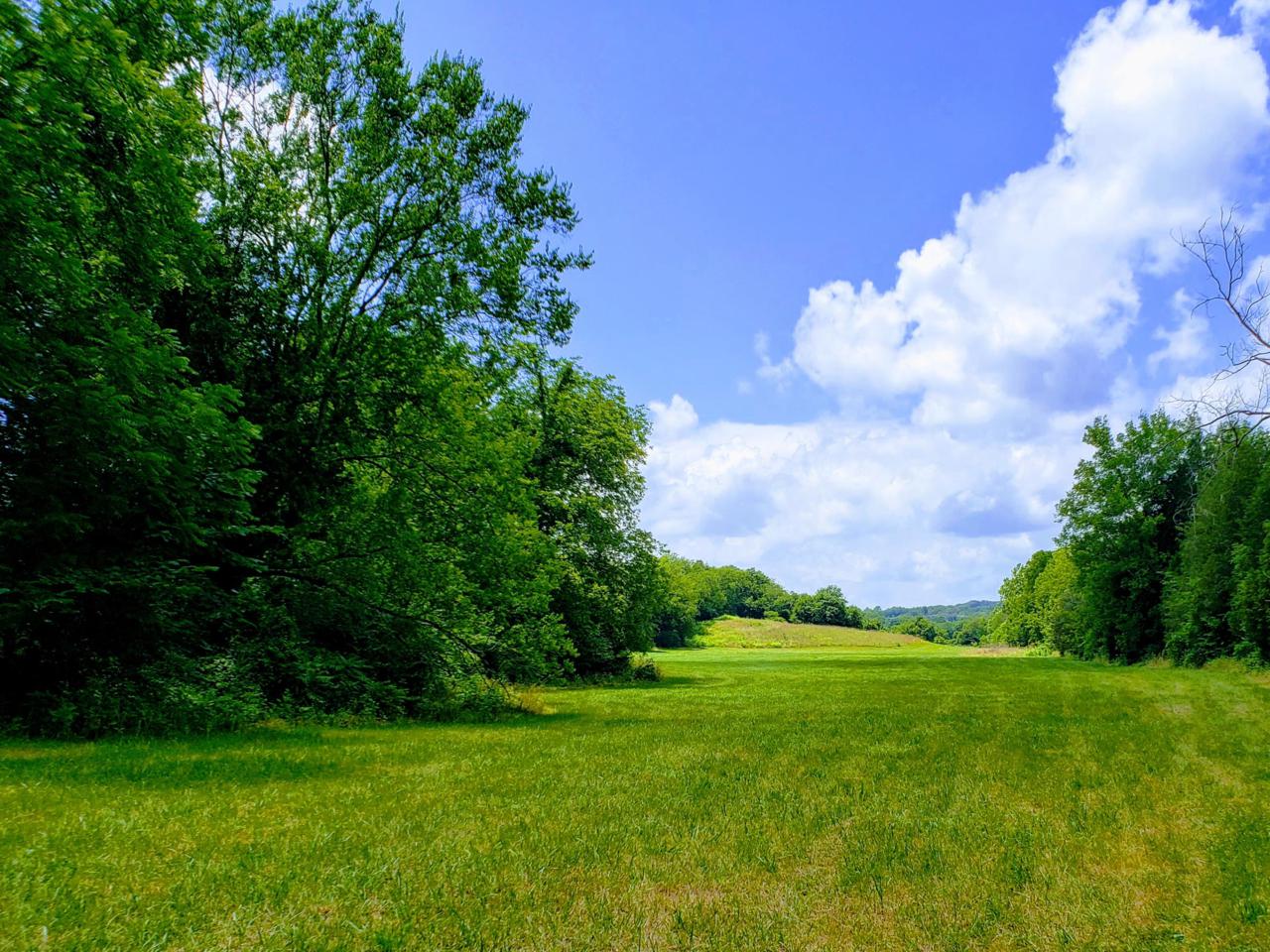 Tract 5 Marble Hill Rd - Photo 1