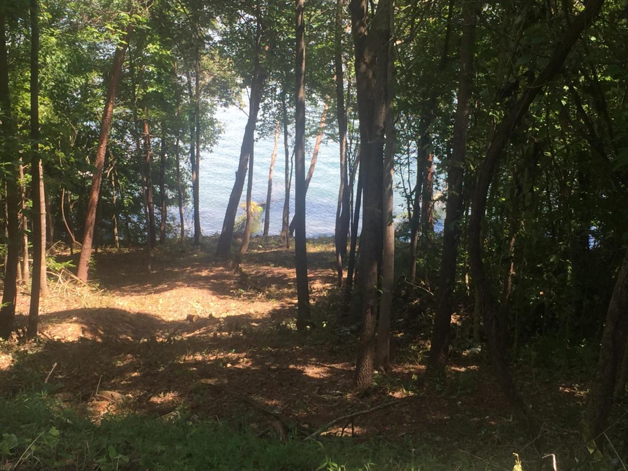 340 Southshore Drive - Photo 1