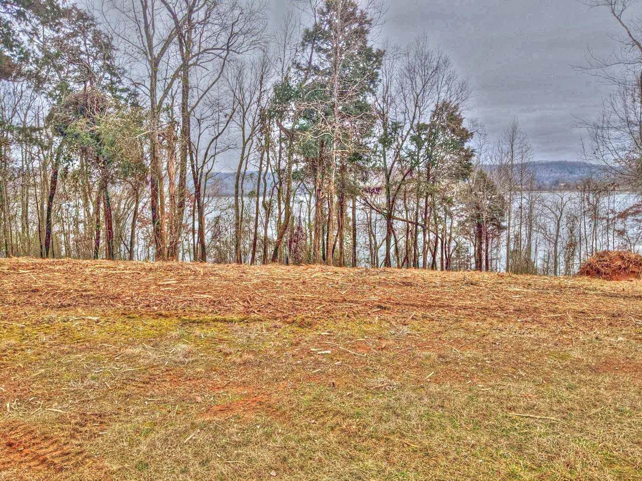 Lot 176 Shore Drive - Photo 1