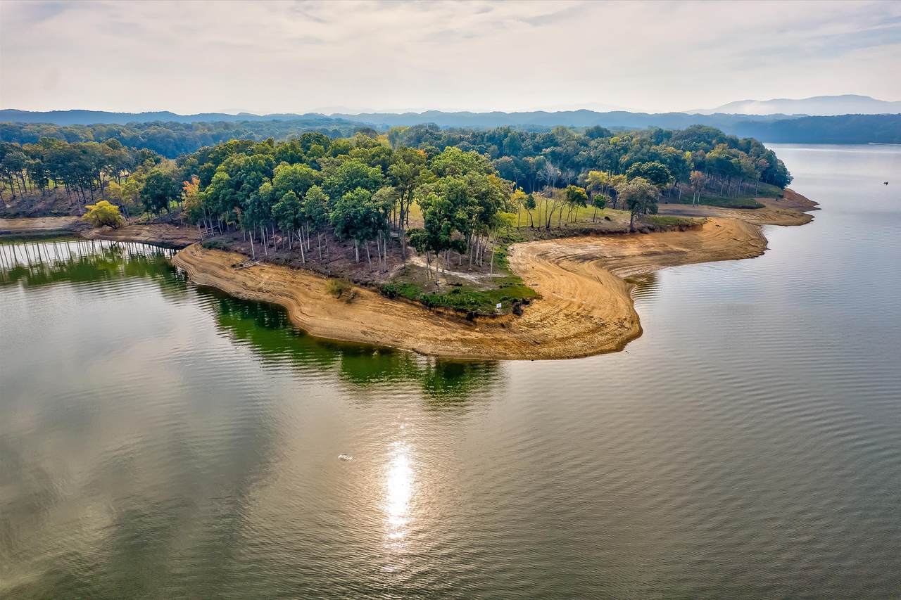 Lot 42 English Mountain Point - Photo 1