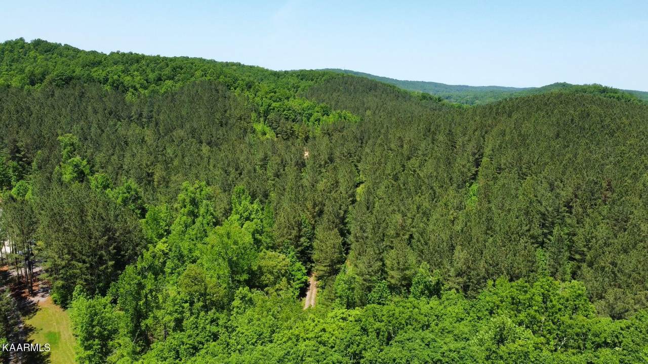 00 County Road 184 Rd - Photo 1